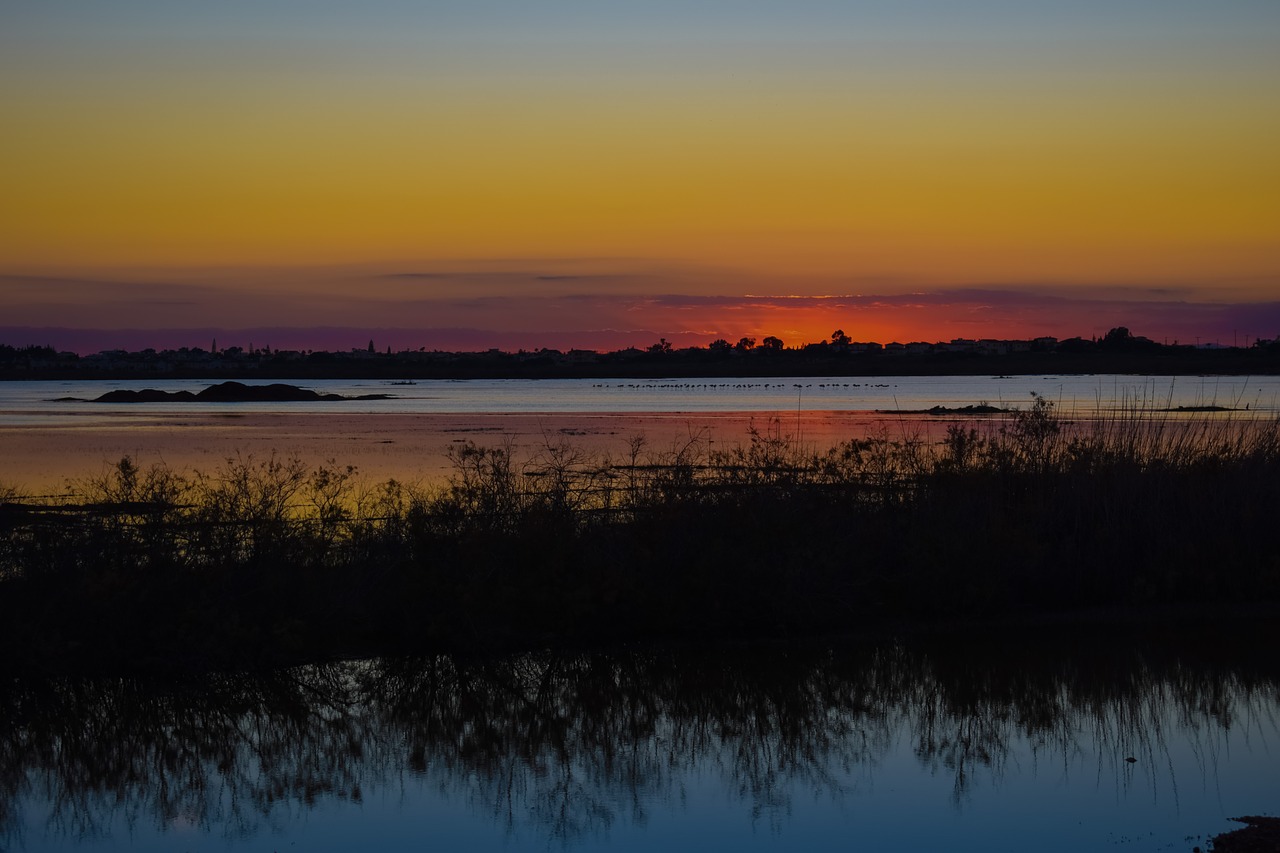 Image - seasonal lake wetland sunset