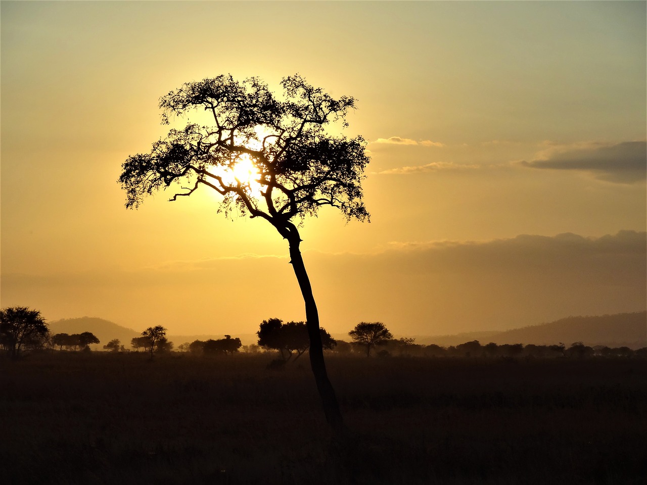 Image - africa abendstimmung landscape