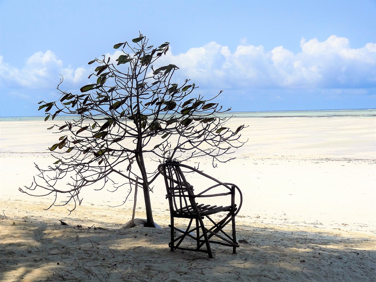 Image - beach sea chair tree atmosphere