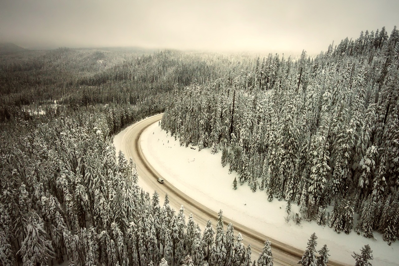 Image - oregon winter snow road nature