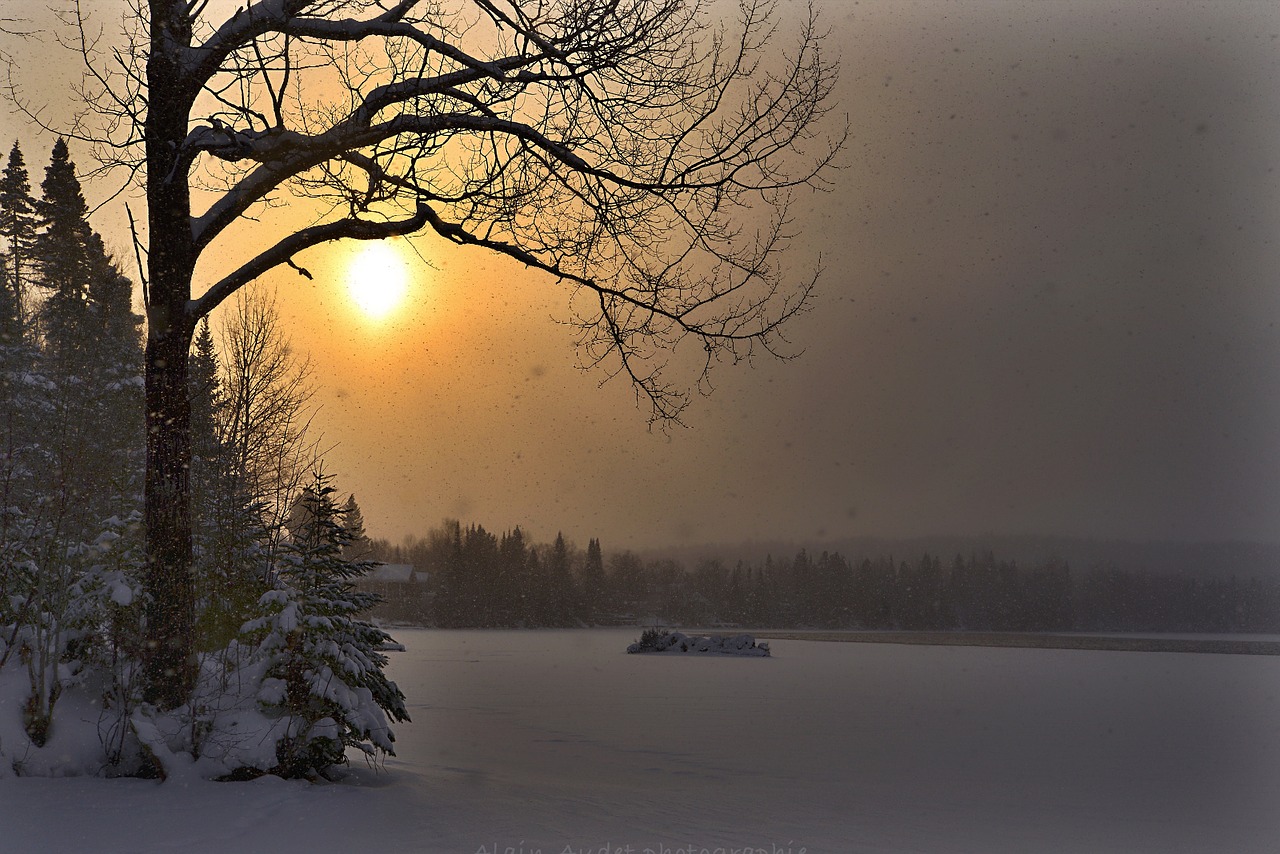 Image - winter landscape sunset winter tree