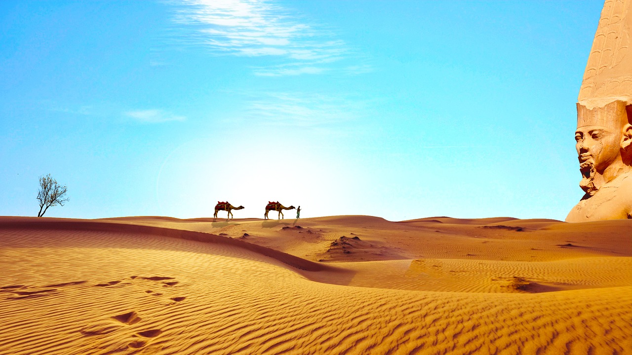 Image - egypt sahara desert dry camels