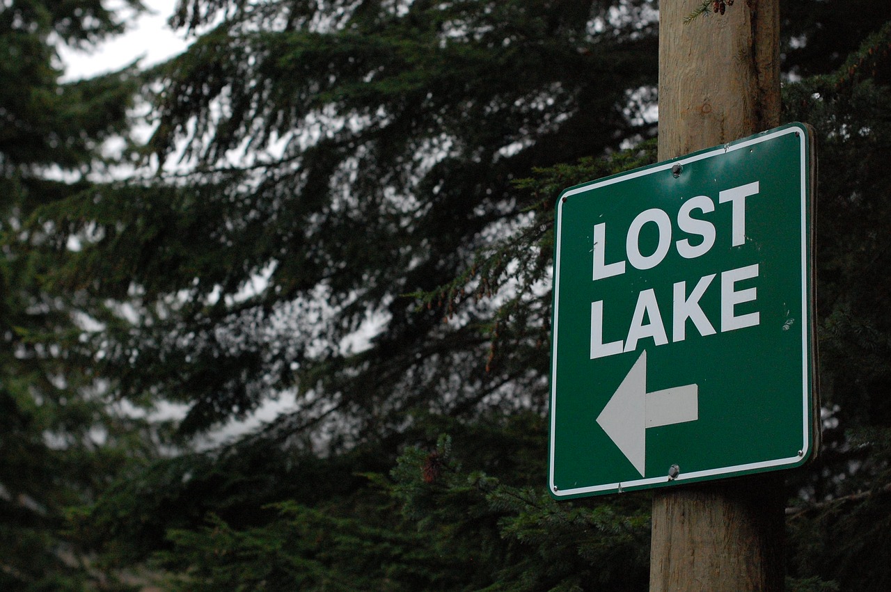 Image - lost found compass