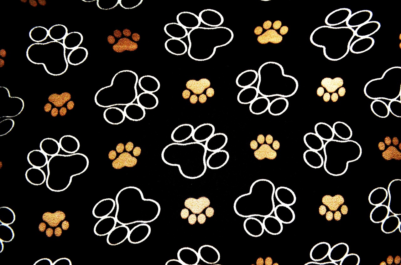 Image - dog pawprint tracks background pet