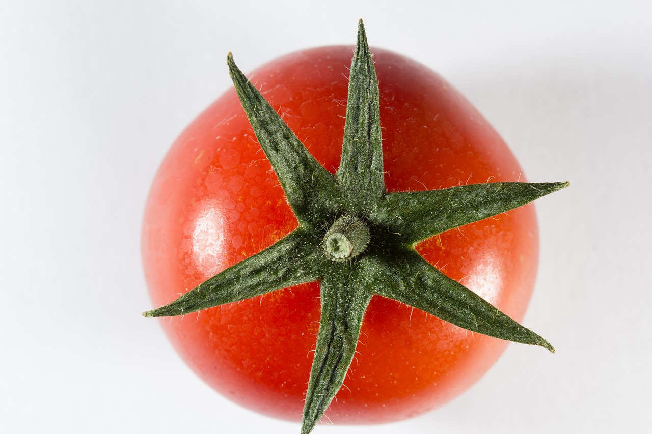 Image - tomato cherry round star sepals