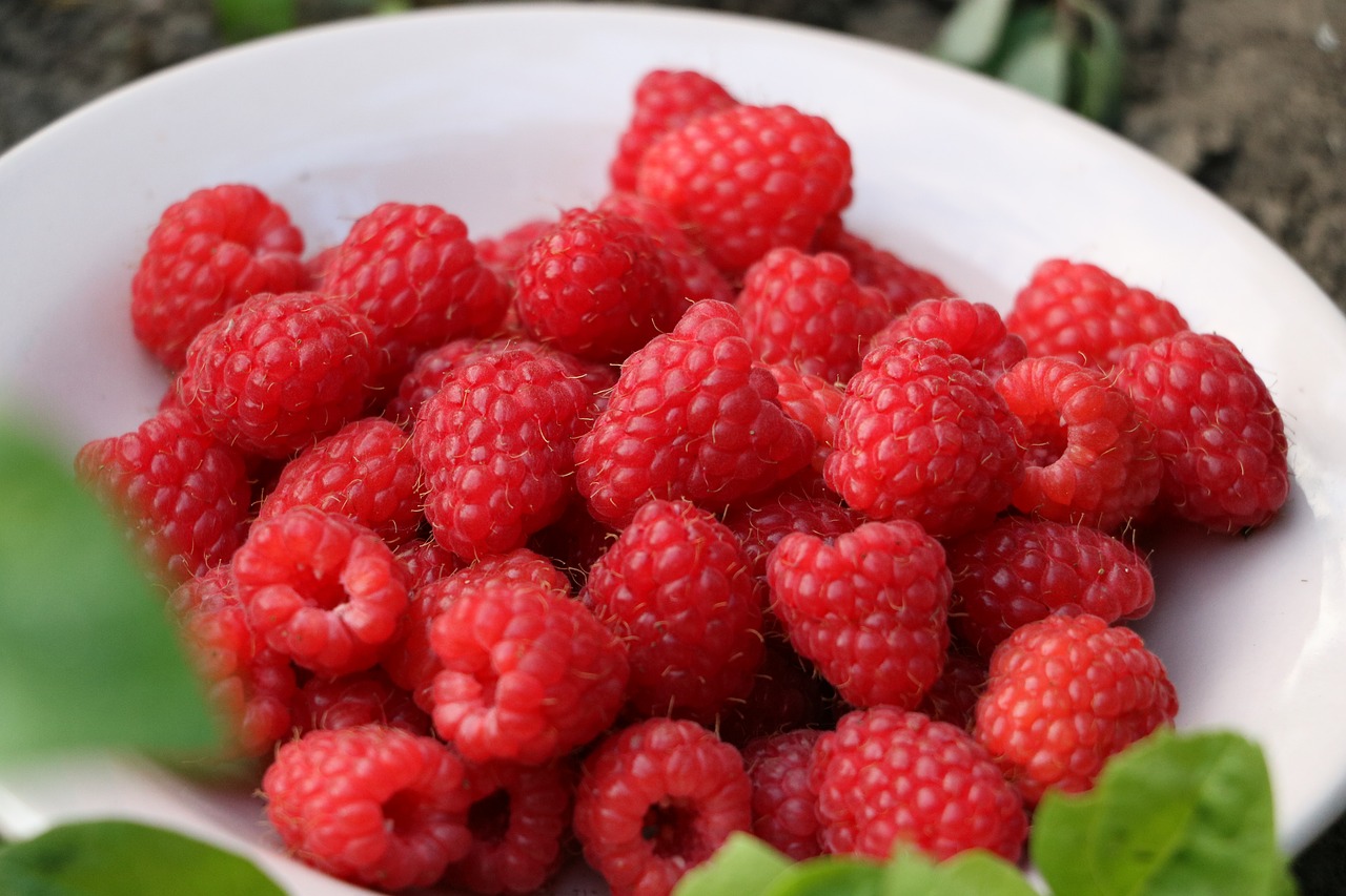 Image - raspberry pink red berry fruit