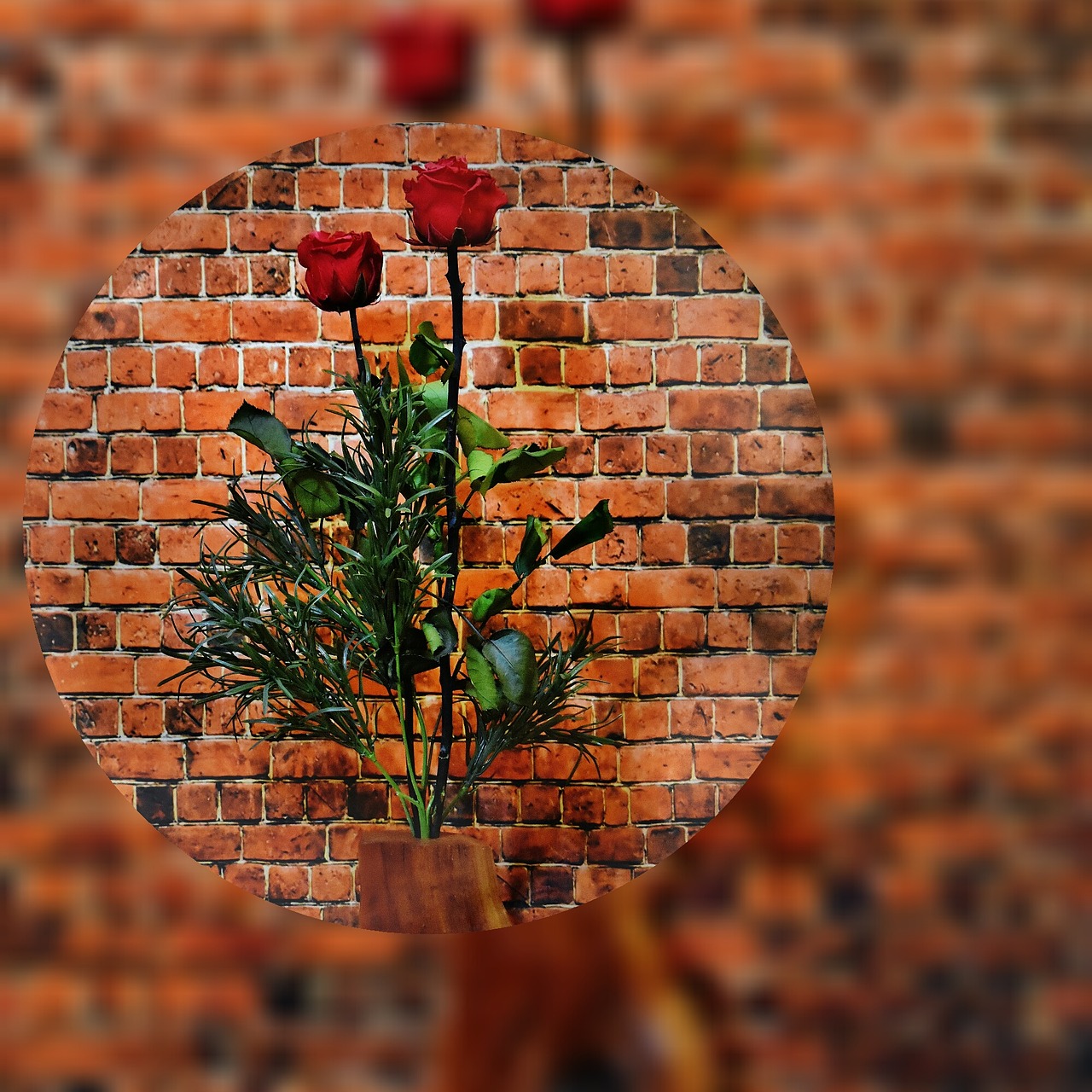 Image - roses flowers red rose vase ball