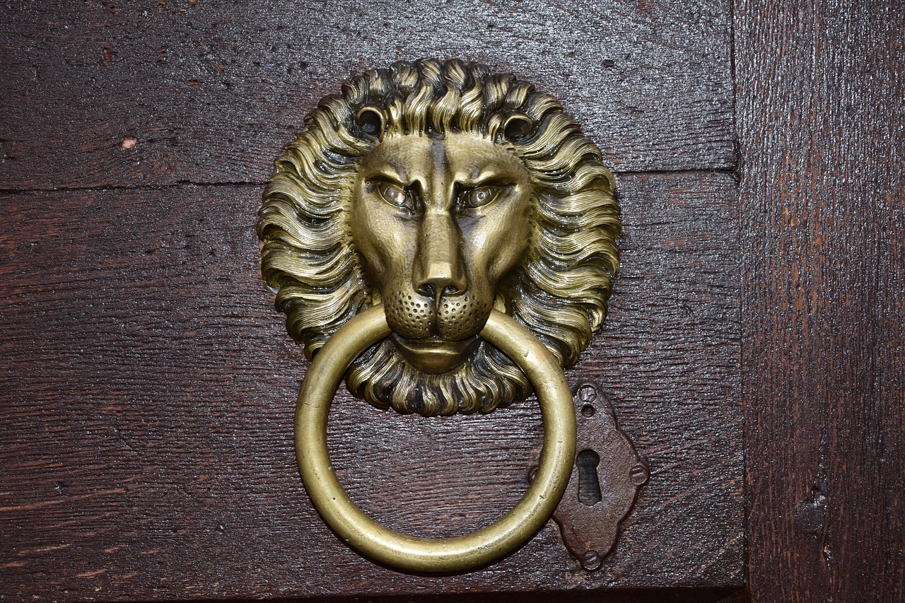 Image - door the lion knocker old golden