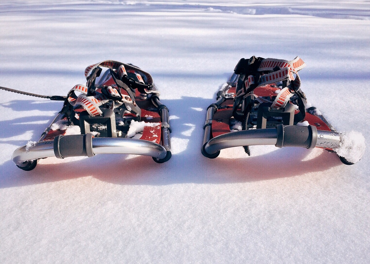 Image - snowshoe sport winter adventure