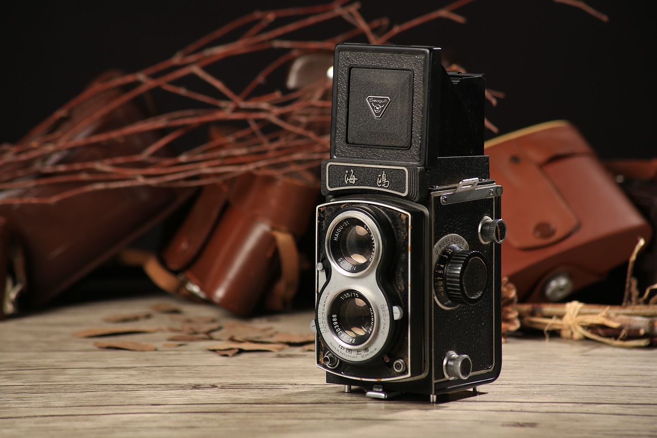 Image - twin lens reflex camera