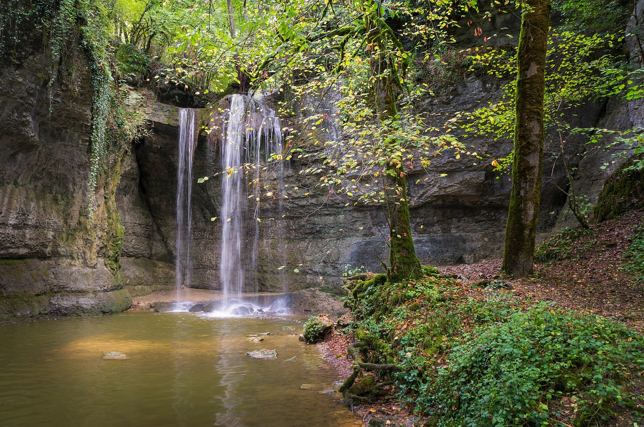 Image - landscape river forest cascade
