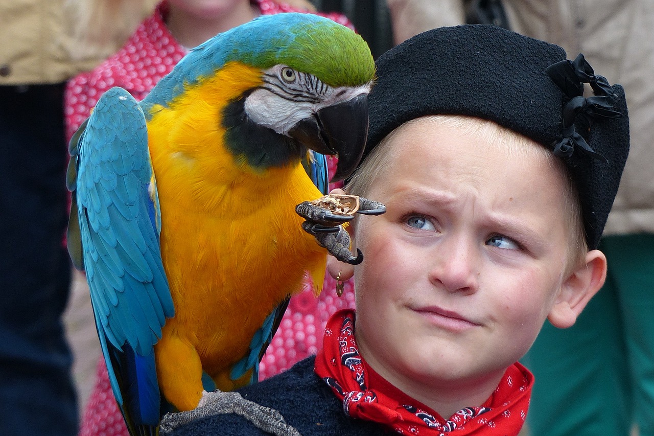 Image - urk boy parrot costume