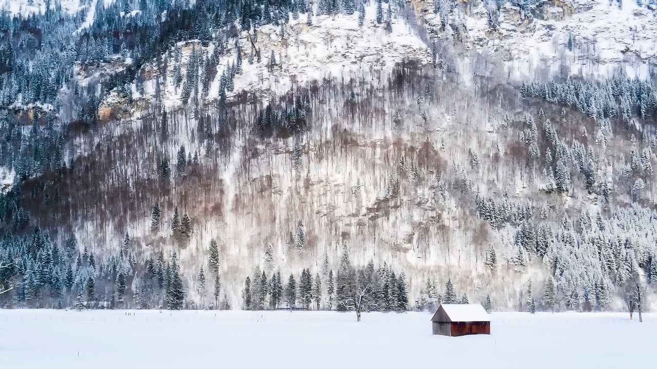Image - germany barn isolated alone