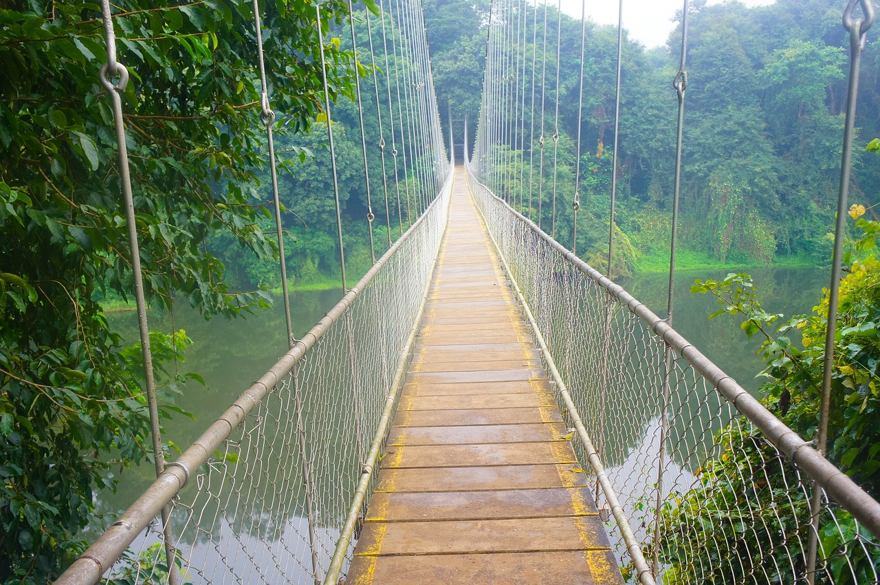 Image - hanging bridge river bridge