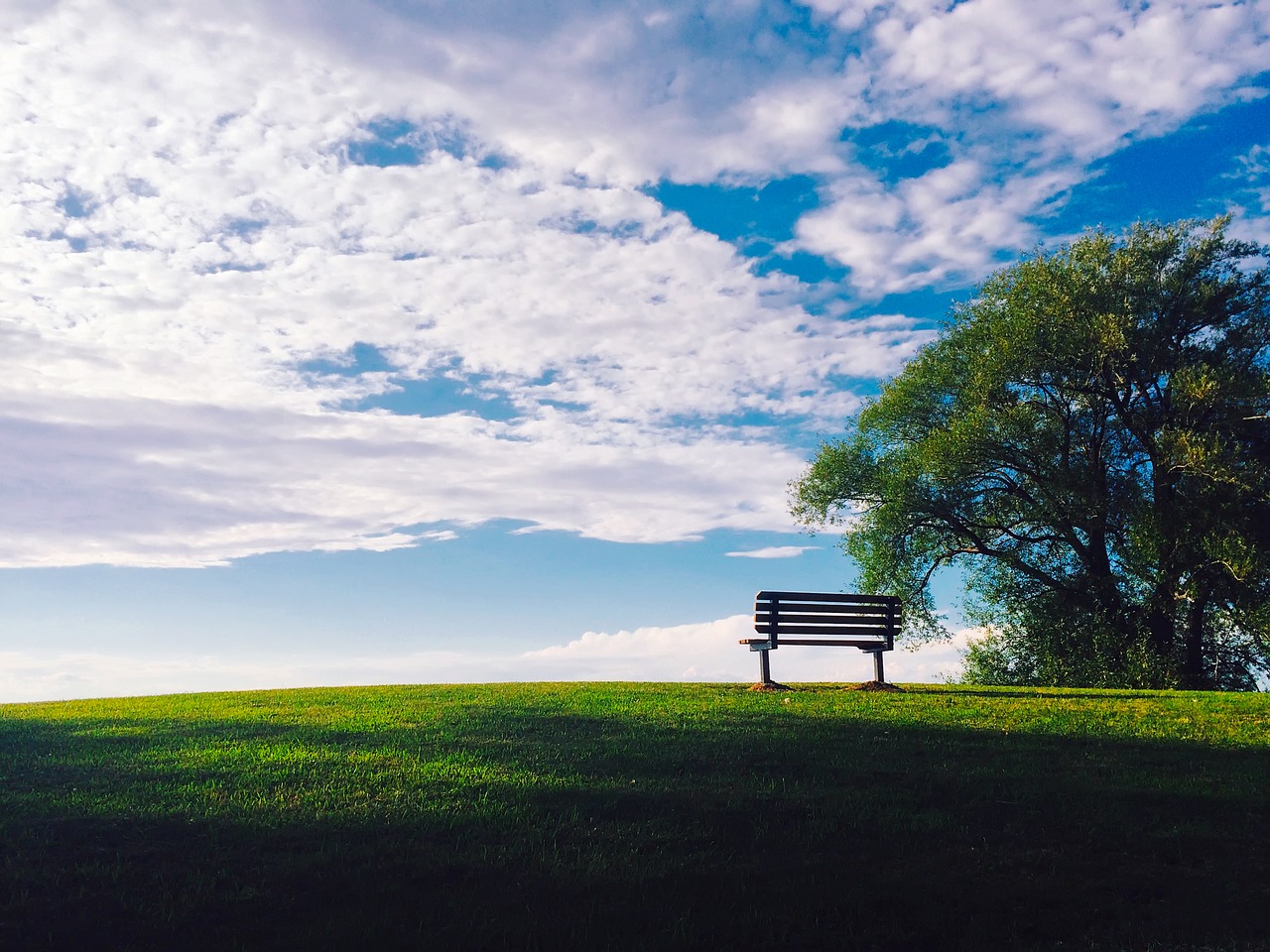 Image - sunset dusk bench public park sky