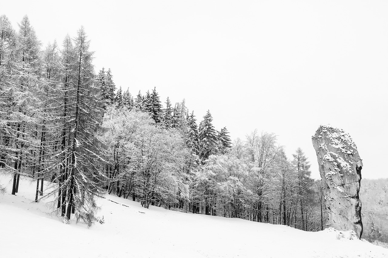 Image - poland winter snow landscape