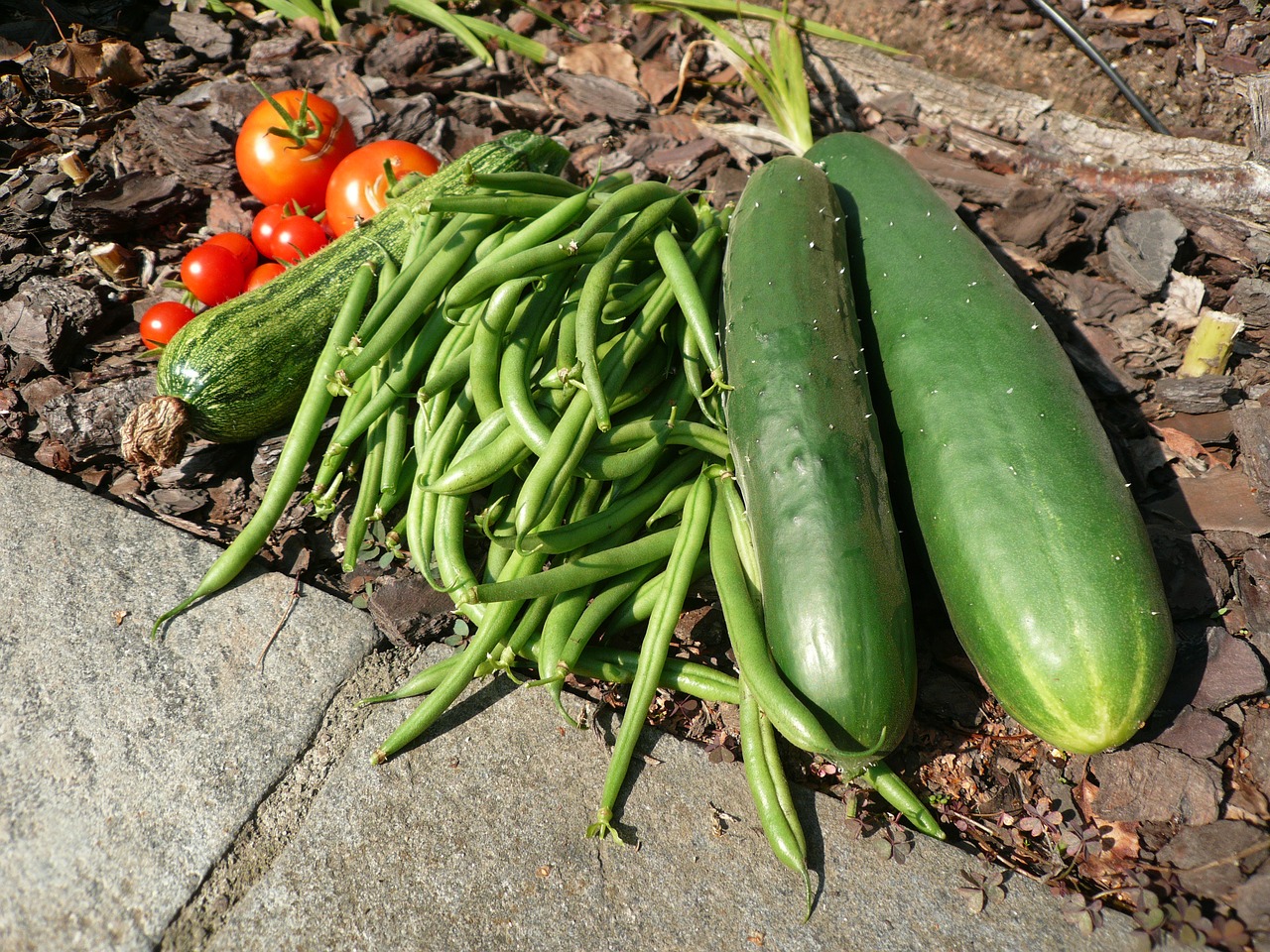 Image - vegetables cucumber green beans