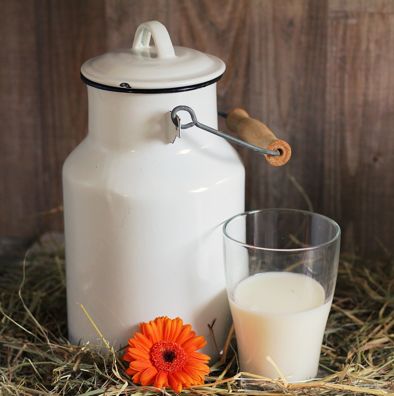 Image - milk can glass milk glass of milk