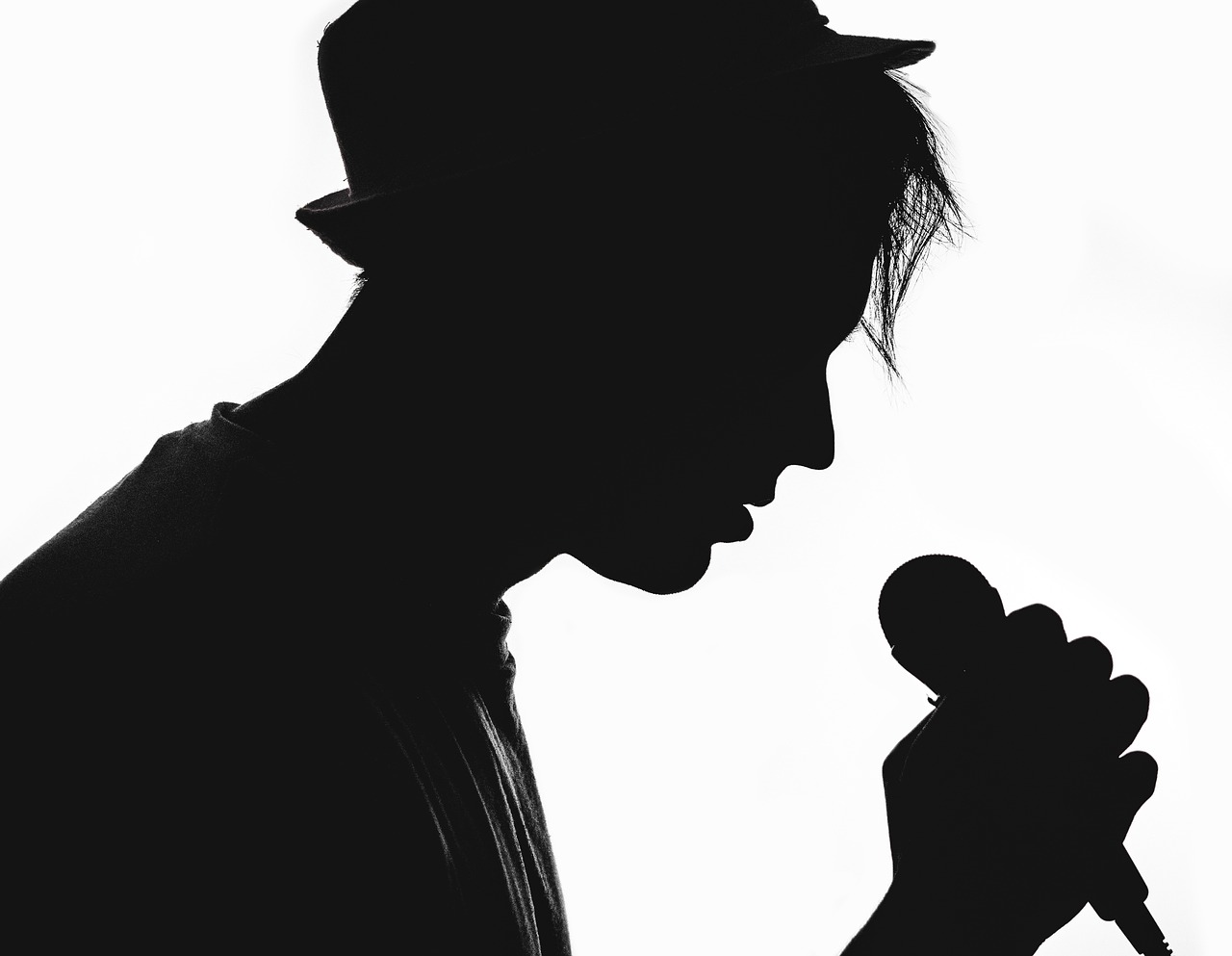 Image - silhouette musician vocalist