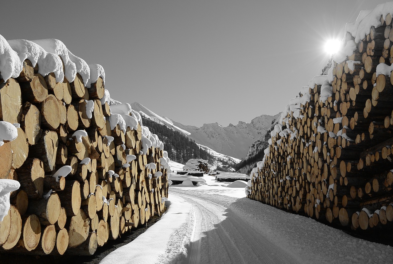 Image - wood snow samnaun nature sun