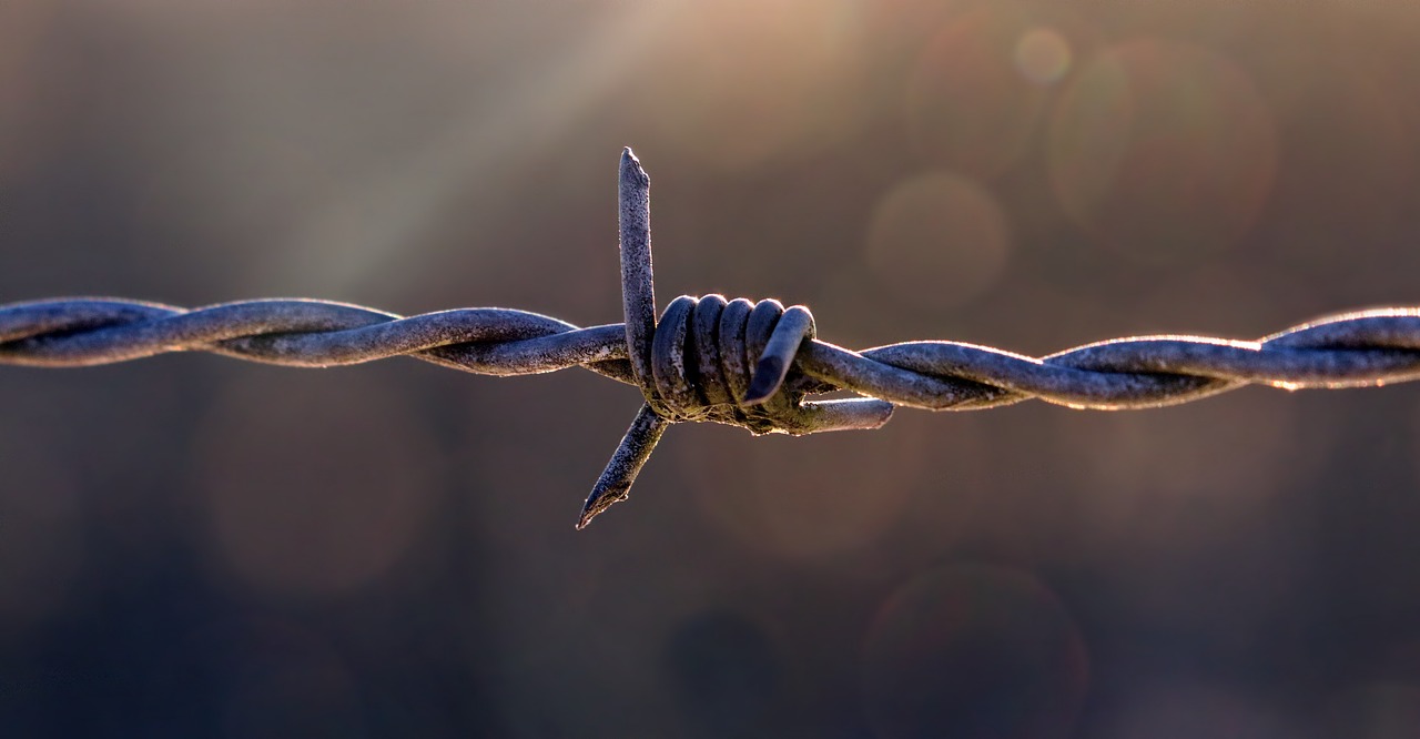 Image - pasture fence barbed wire fencing