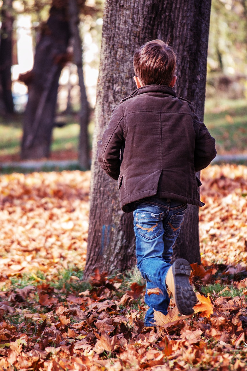 Image - toddler running towards a tree park