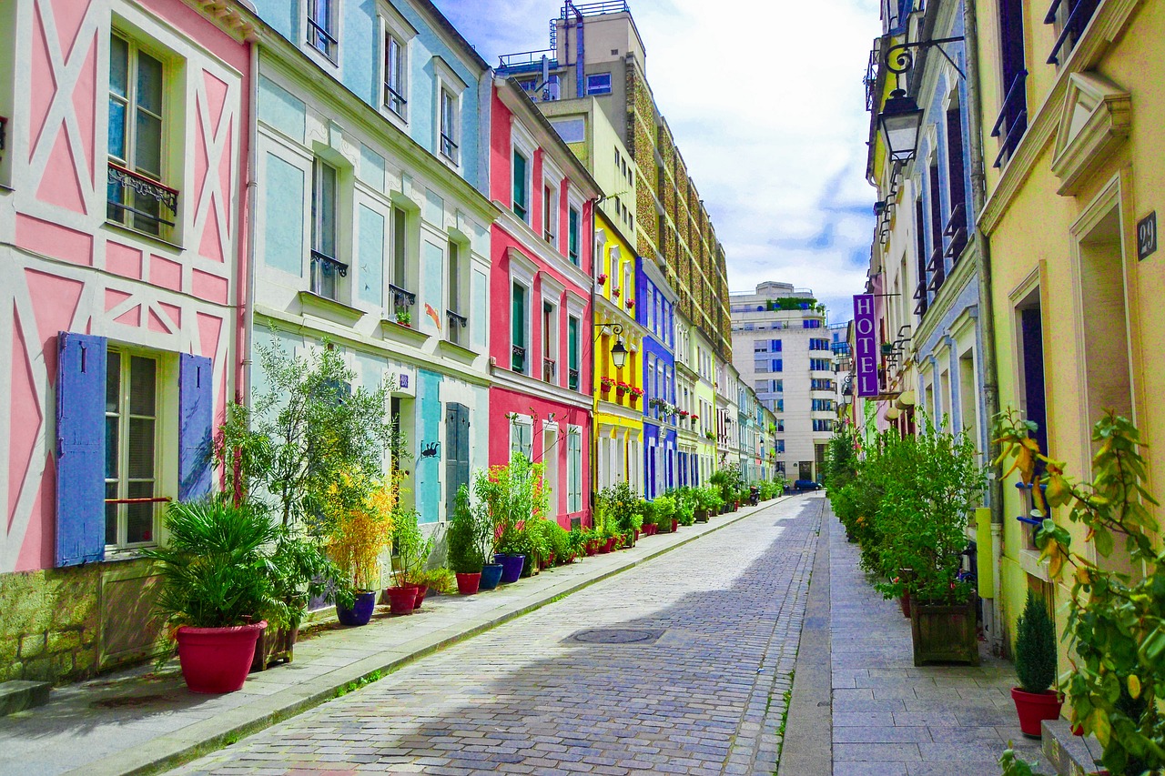 Image - plants allee paris nature light