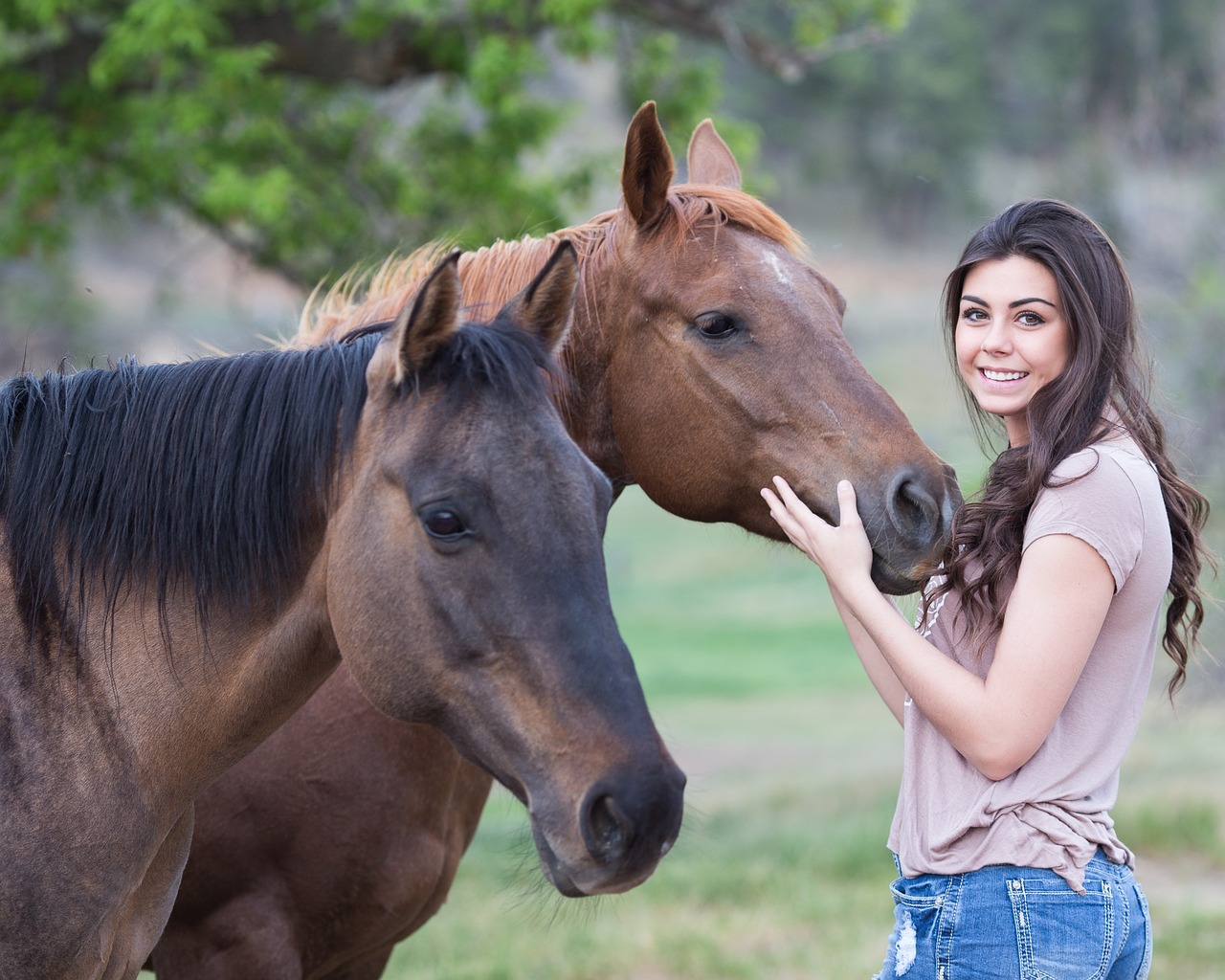 Image - horses girl animal woman female