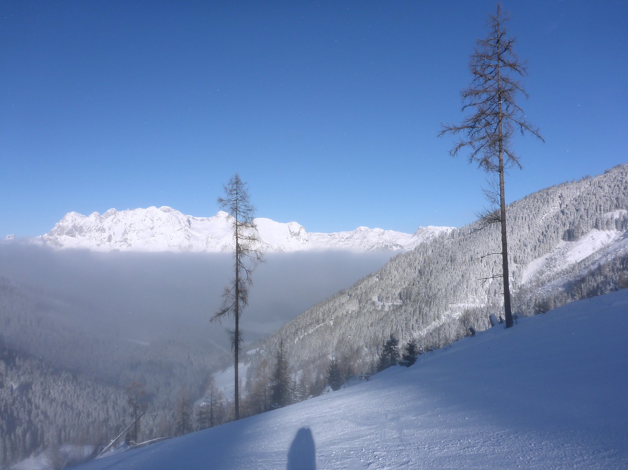 Image - ski run fog above the clouds snow