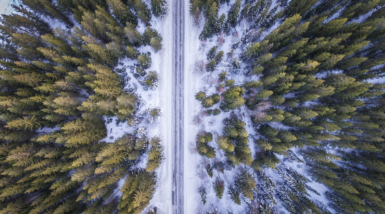 Image - forest road above aerial cold