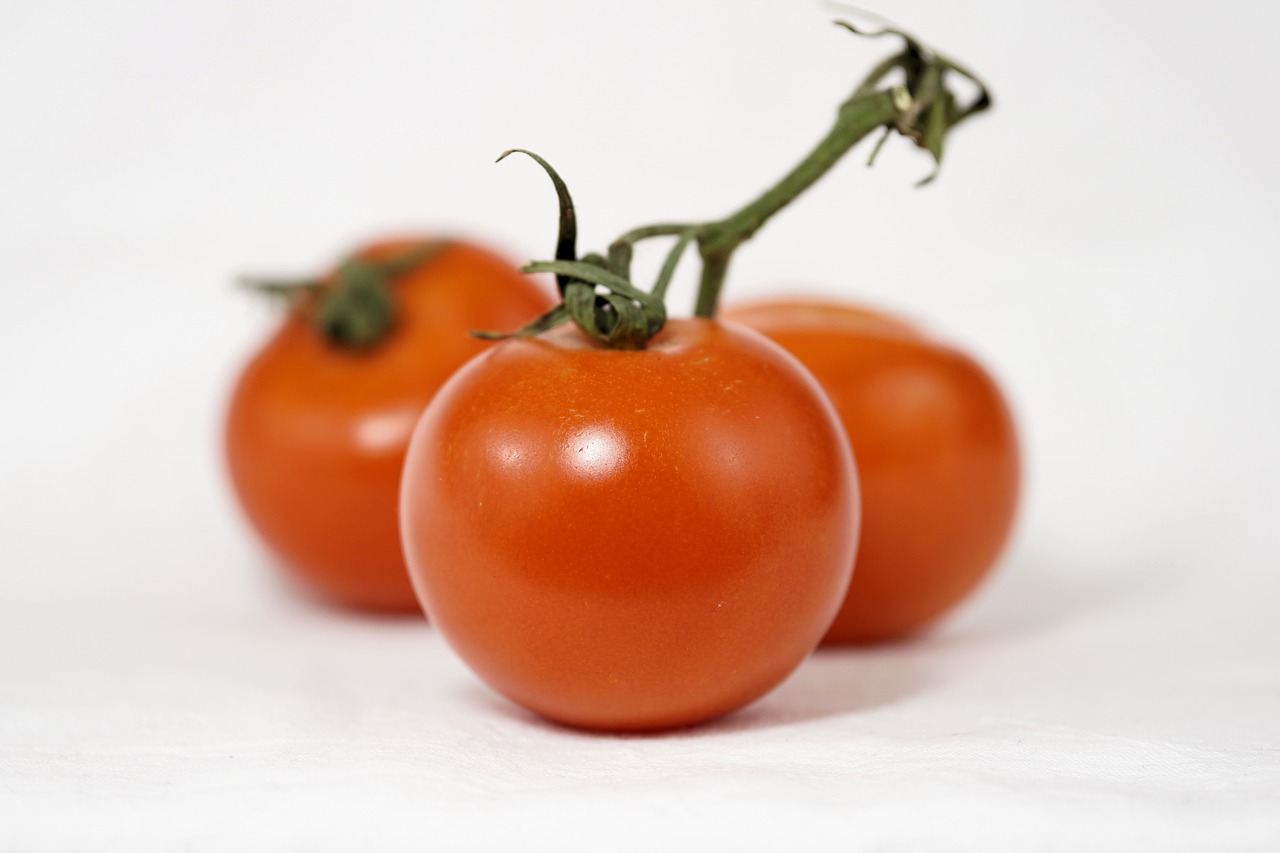 Image - tomatoes bush tomatoes on the vine