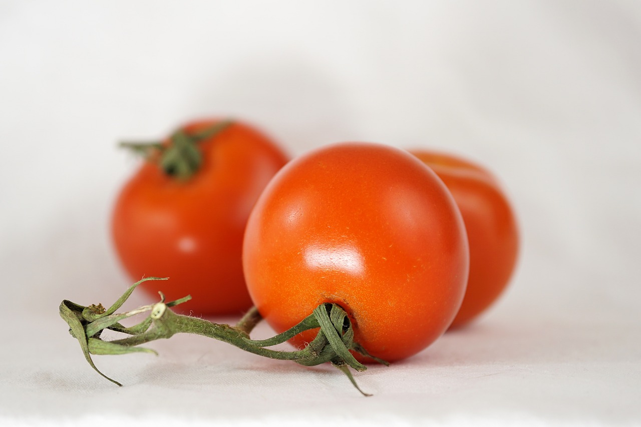 Image - tomatoes bush tomatoes on the vine