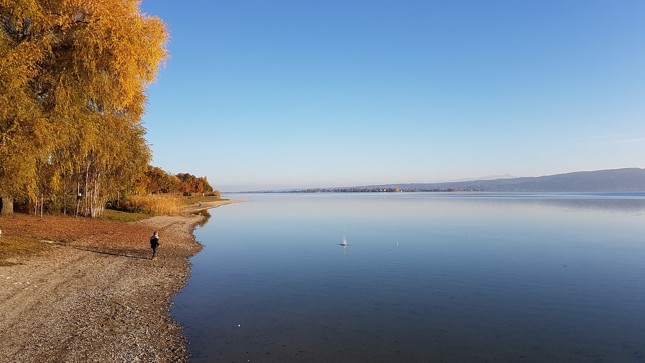 Image - lake constance water bank nature