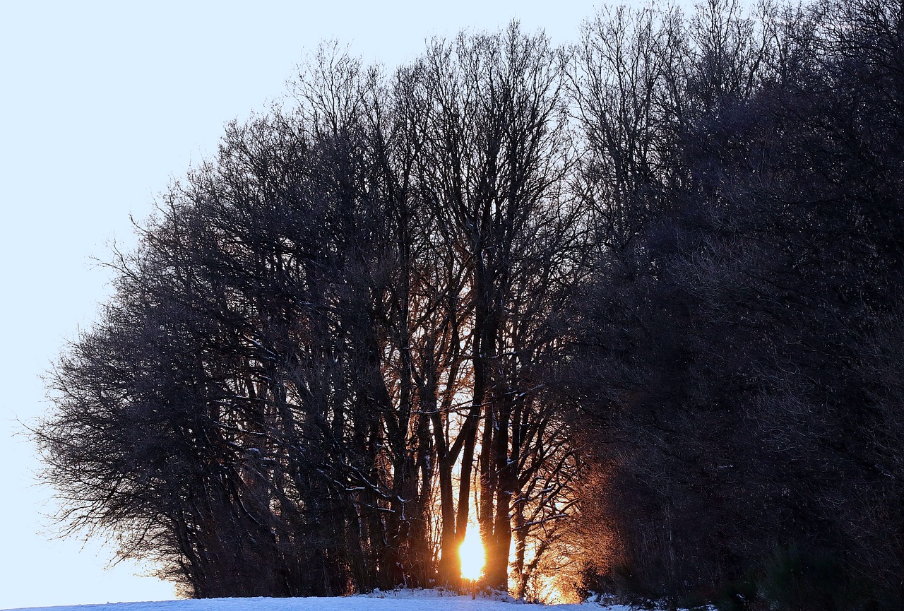 Image - winter evening sun snow nature