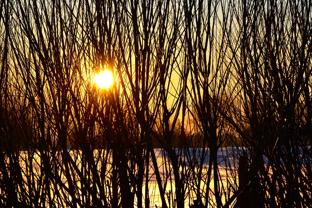 Image - sunset winter wintry snow sky