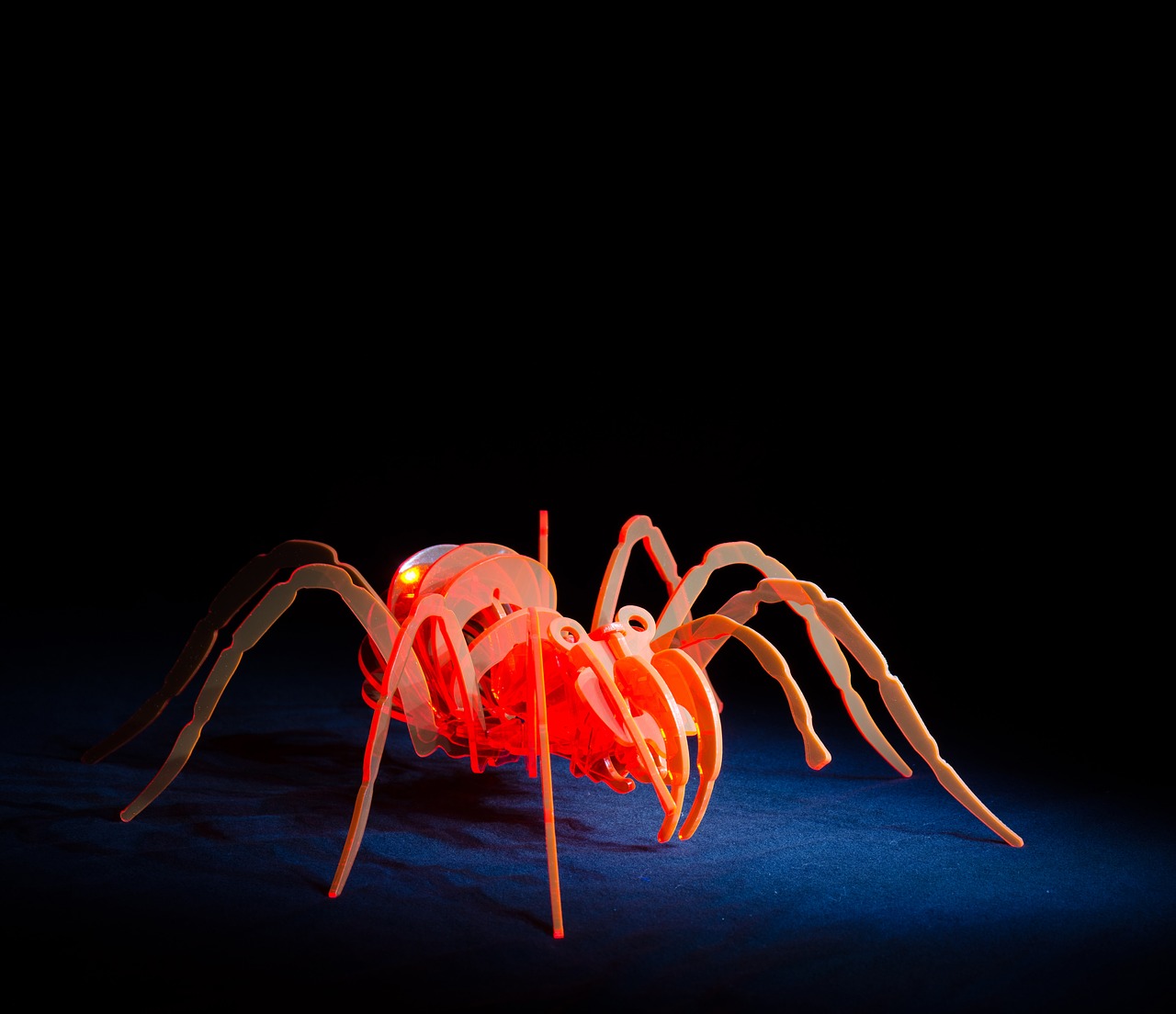Image - spider acrylic light painting