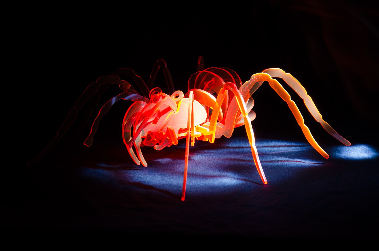 Image - spider acrylic light painting