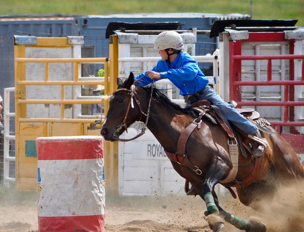 Image - rodeo barrel racing woman cowgirl