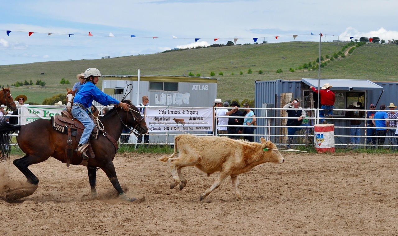 Image - rodeo calf roping arena competition