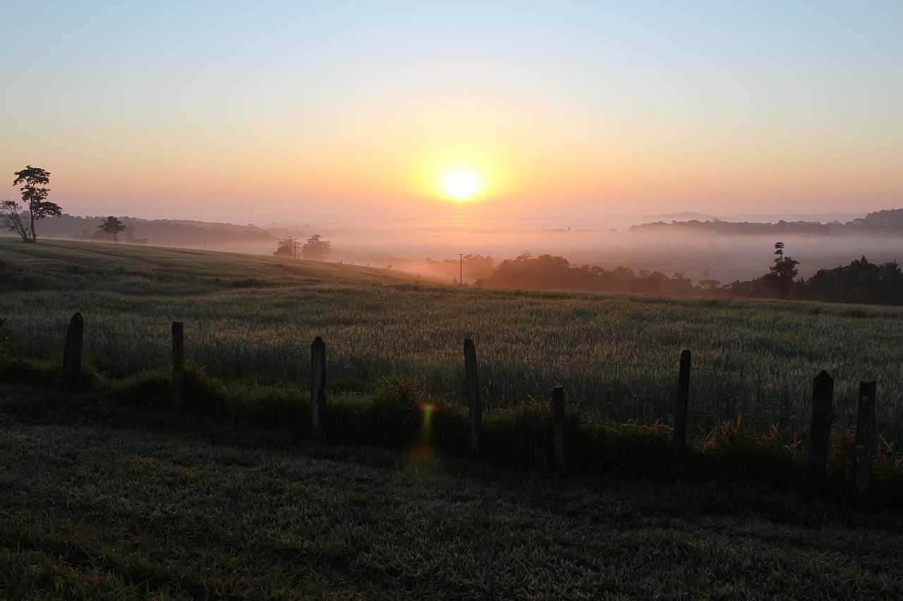 Image - born sun fog