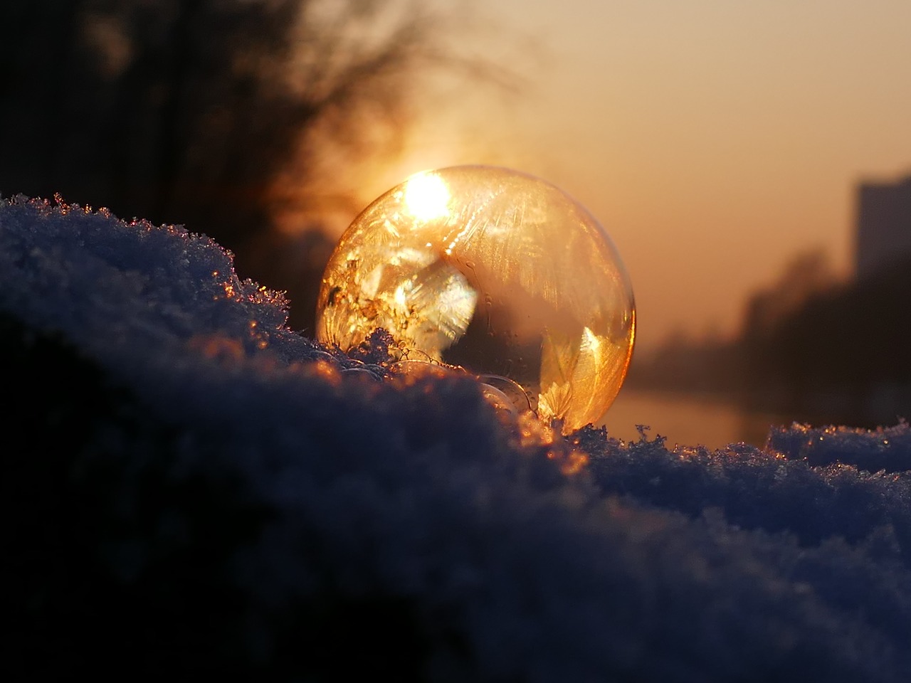 Image - soap bubble frozen frost winter