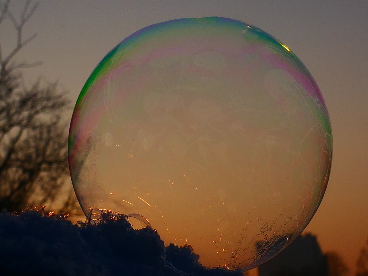 Image - soap bubble shimmer frozen frost