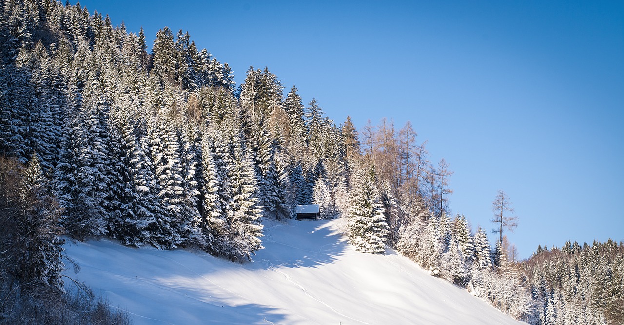 Image - landscape winter snow wintry sunny
