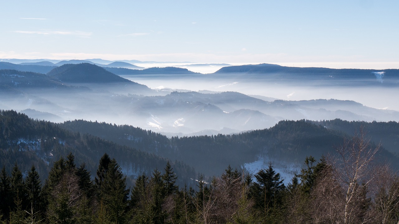 Image - sea of fog nebellandschaft