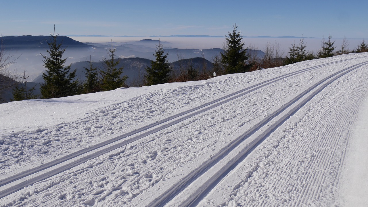 Image - ski cross country skiing black forest