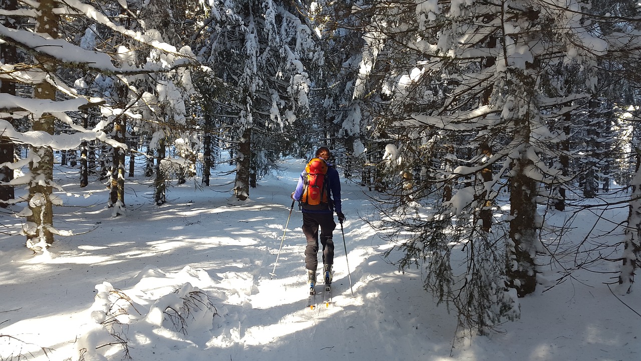 Image - backcountry skiiing black forest ski