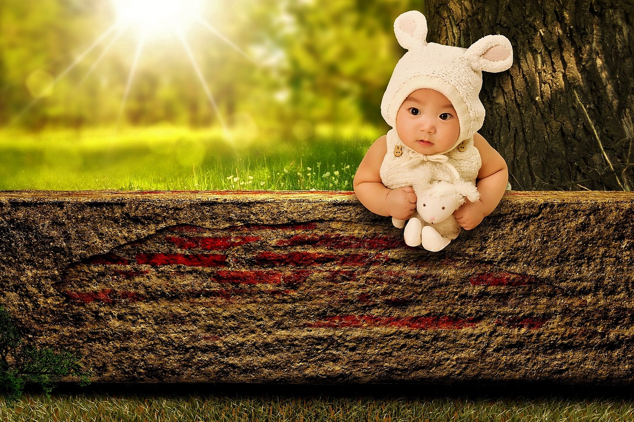 Image - baby bunny child stuffed animal