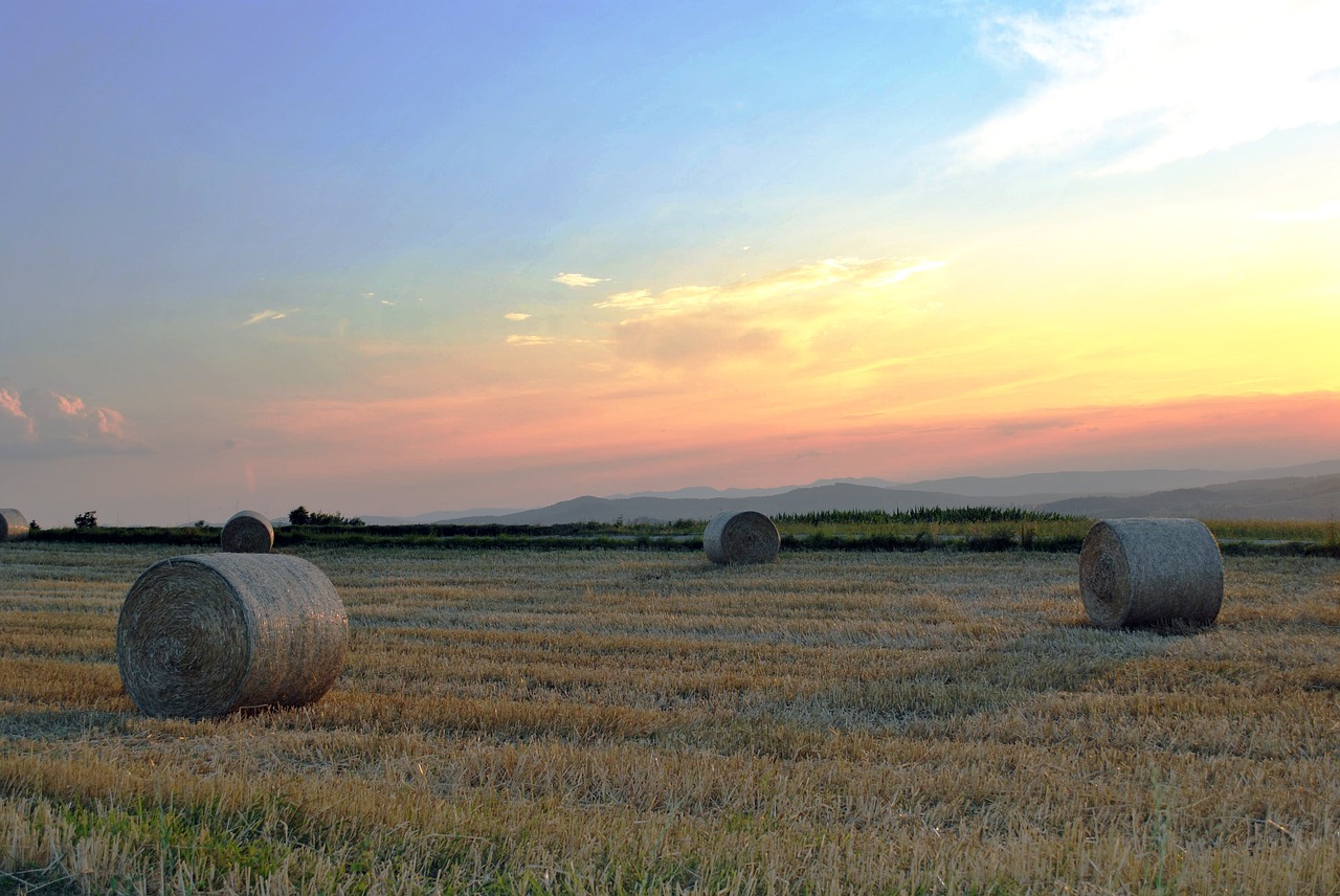 Image - nature farm farming landscape