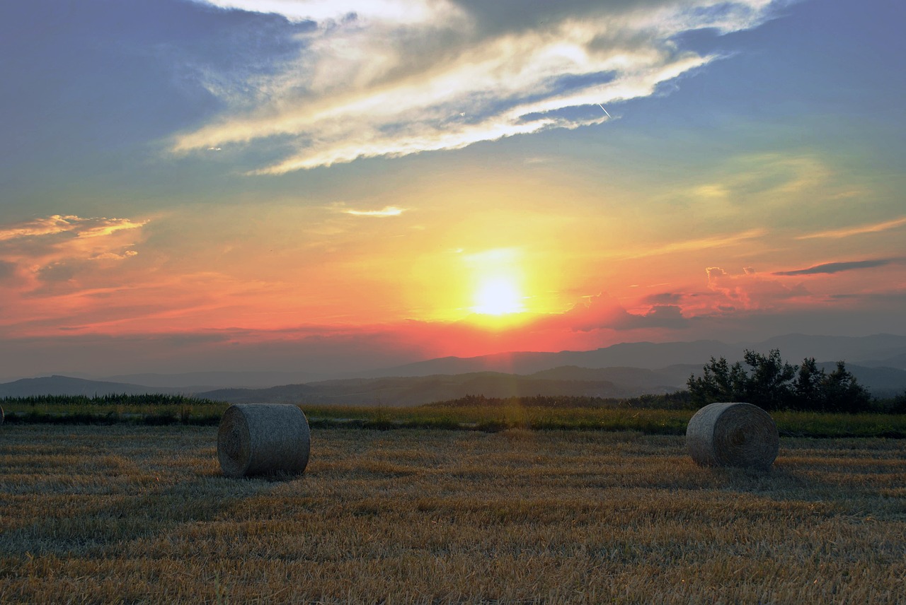 Image - nature bale hay sky wheat