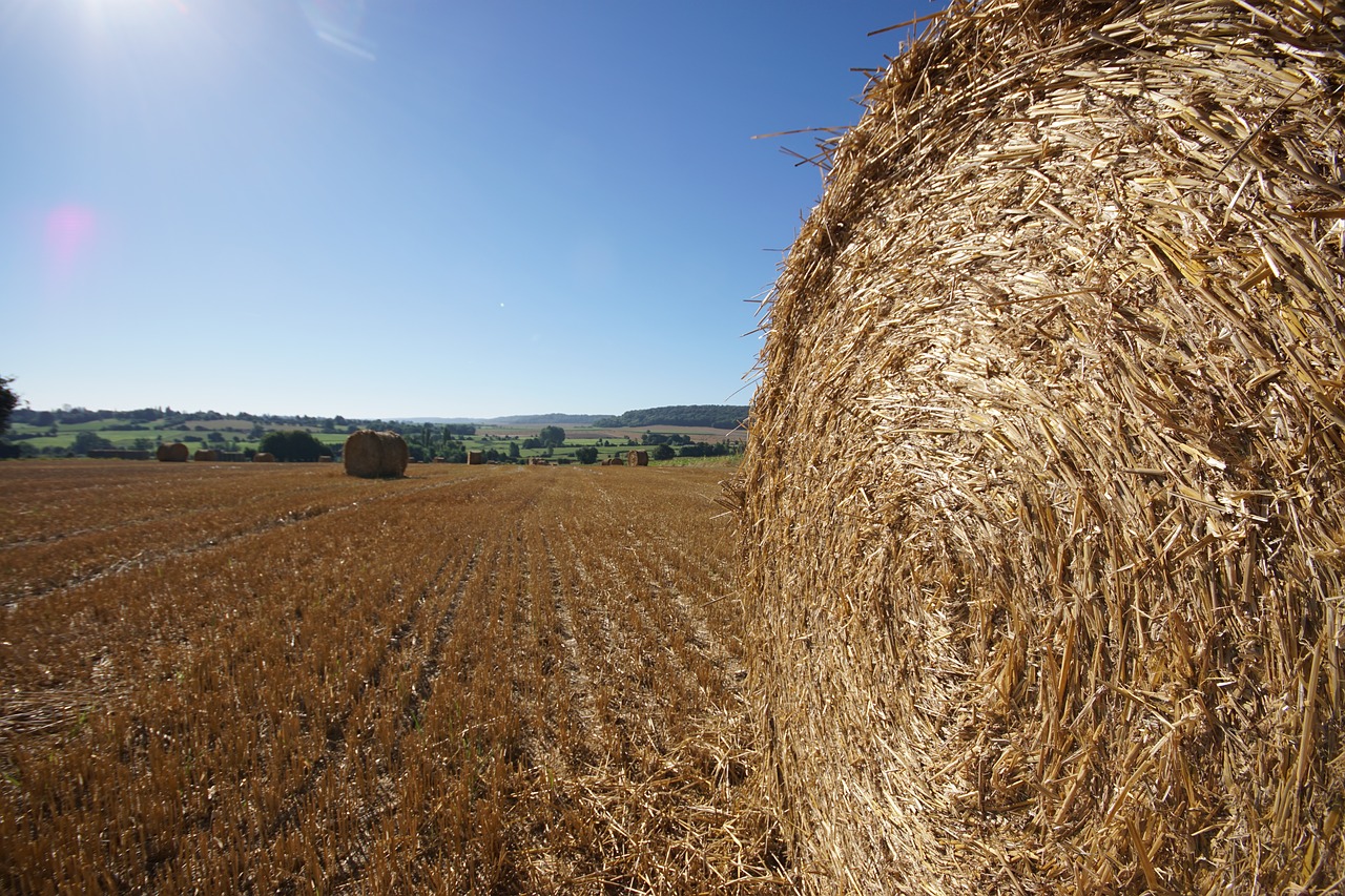 Image - straw bale roller fields straw